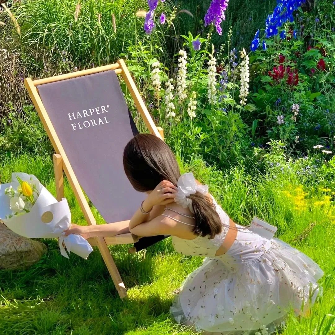 熊出没之怪兽计划2